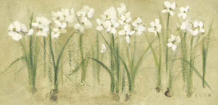 Cheri Blum Row of Narcissus